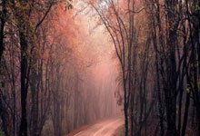 [CBA]常规赛1月12日：广东VS北控 集锦.