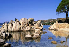 镜报预测曼联足总杯首发:二门巴因德尔出战,中场梅努搭档乌加特.